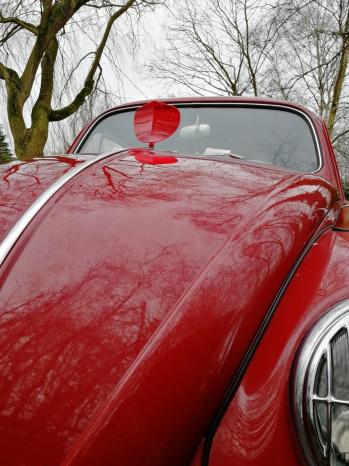 Defletor Capô Vermelho, Vermelha Zvw8r | Fusca 1953-70 SKU: ZVW8R